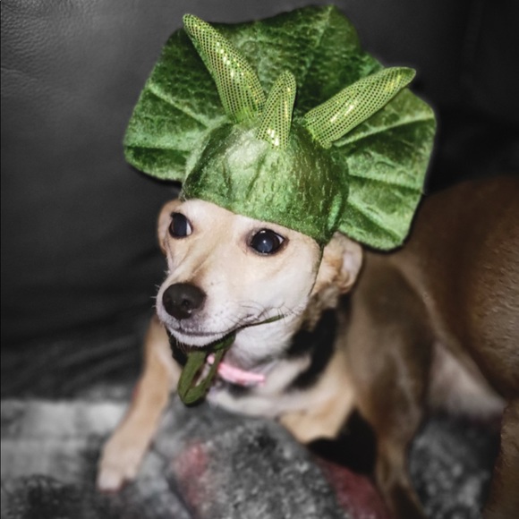 Meet your Posher, Angela - Picture 15 of 16